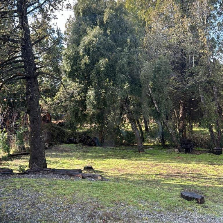 Cabaña Vista al OTTO y parque de cipreses y ñires - One-Bedroom House - 40