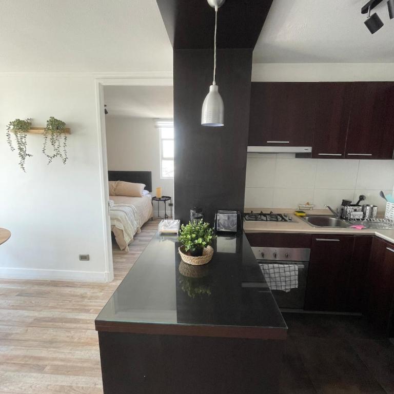 Espectacular departamento a cuadras de La Moneda - One-Bedroom Apartment - 5