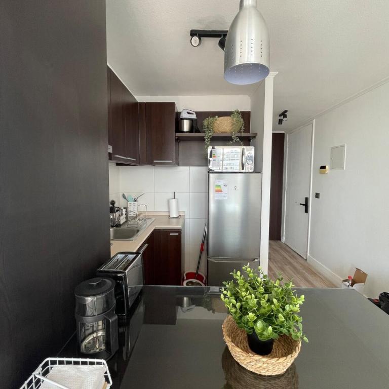 Espectacular departamento a cuadras de La Moneda - One-Bedroom Apartment - 11