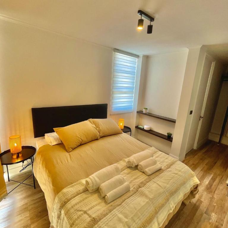 Espectacular departamento a cuadras de La Moneda - One-Bedroom Apartment - 1