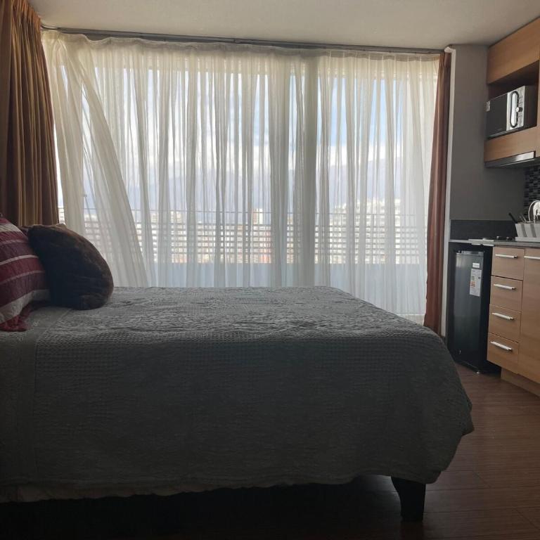 Depto Estudio - Apartamento de 1 dormitorio - 12