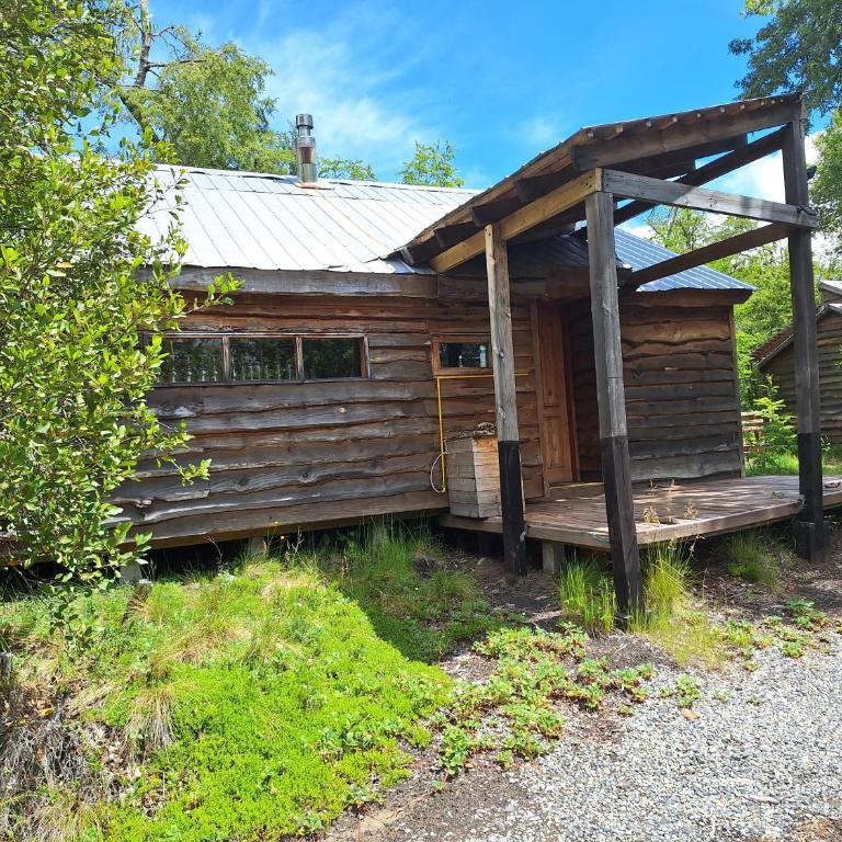 Lodge Palguin Alto - Bungalow - 11