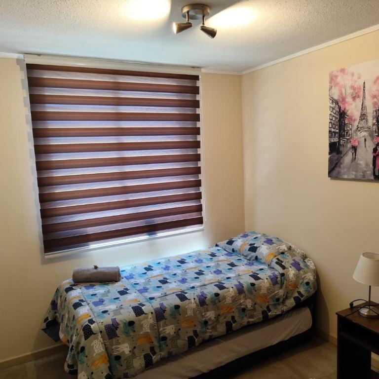 Departamento en Linares - Apartamento de 2 dormitorios - 20