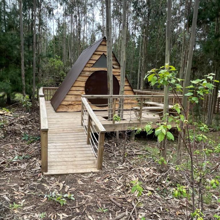 Glamping Eluney Bucalemu - Tent - 4