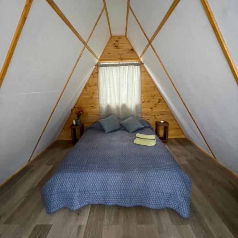 Glamping Eluney Bucalemu - Tent - 3