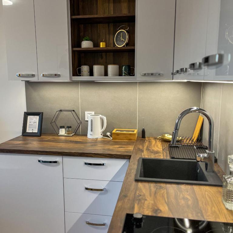 Apartman Krčmar Divcibare - Apartman sa 1 Spavaćom Sobom - 3