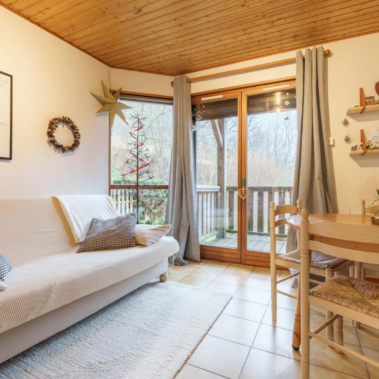 La Cime des 4 - Vue sur la vallée à La Bresse - Appartamento con 1 Camera da Letto - 1