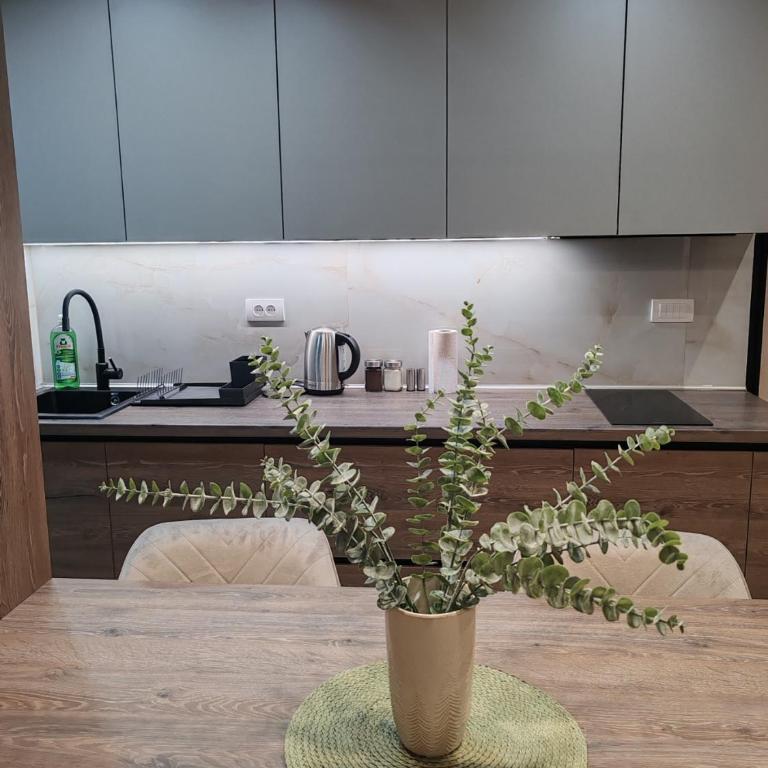 WIND STAR Divcibare - One-Bedroom Apartment - 10