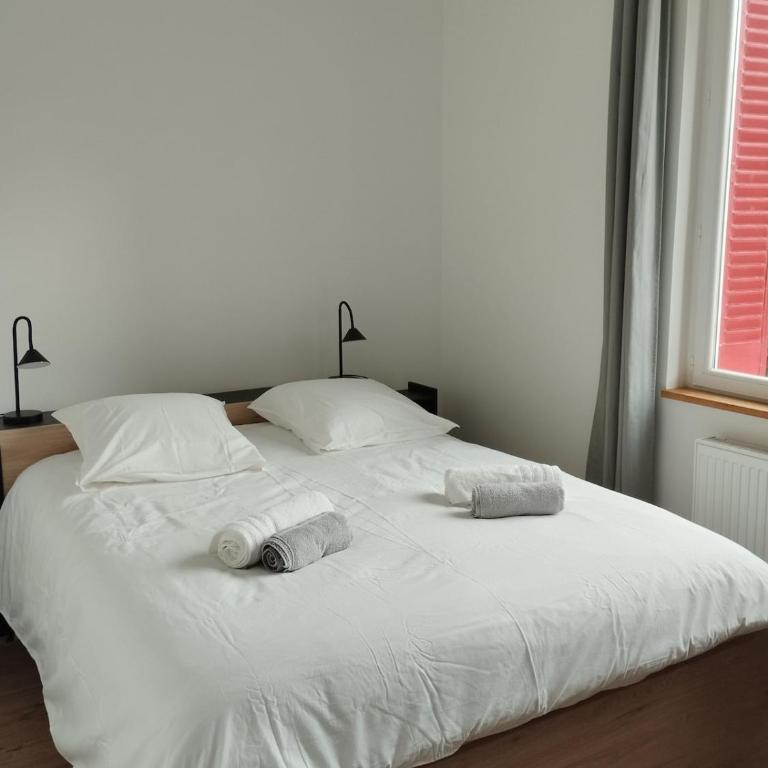 Evasion Alpine au calme près centre ville Chambéry - Appartement 2 Chambres - 21