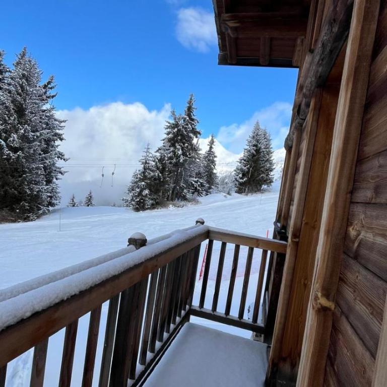 Chalet Soleil, magnifique triplex sur les pistes - Chalet - 38