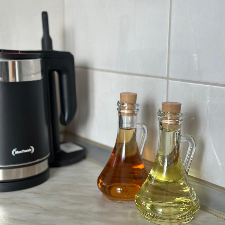 Sunny Studio Podgorica - Apartman sa 1 Spavaćom Sobom - 14