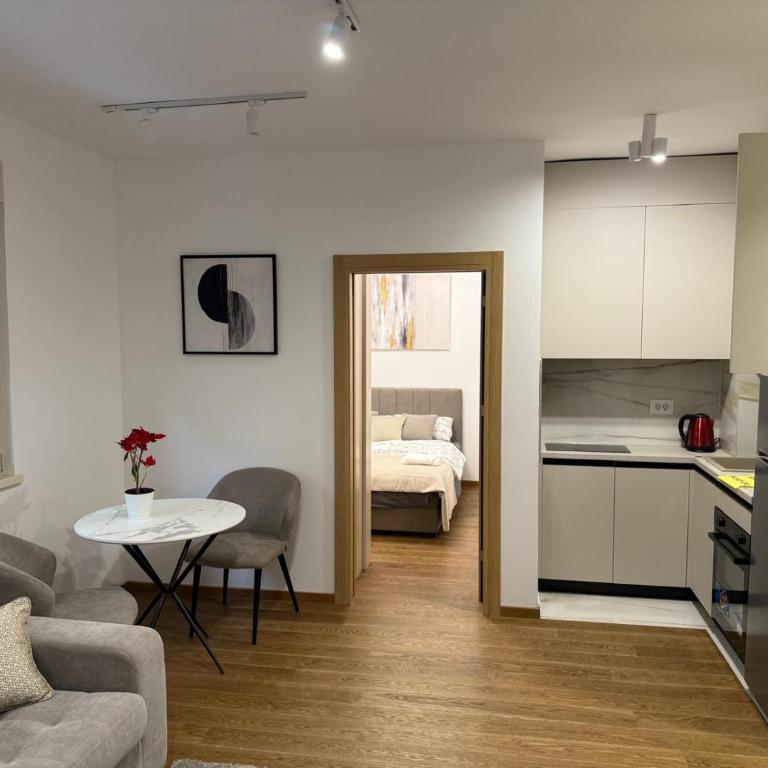 GAGA Vračar Hram apart - Apartman sa 1 Spavaćom Sobom - 1