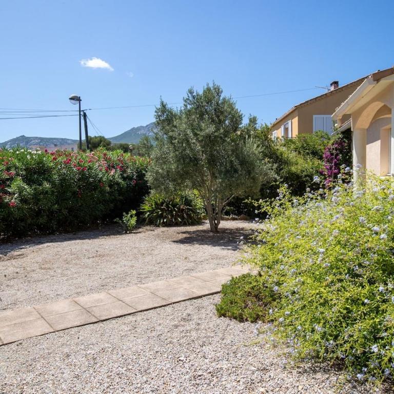 Charmante villa avec piscine proche ville et plage - Villa 1 Chambre - 11