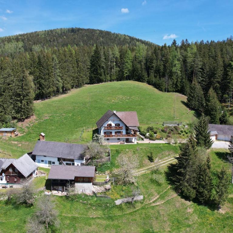 Haus Wildblick - Ferienhaus - 33