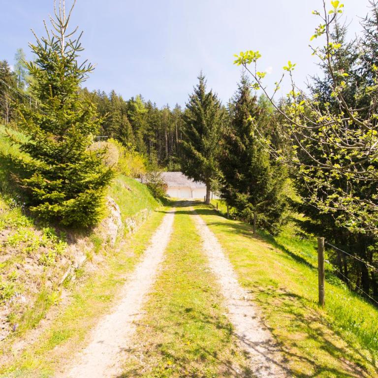 Haus Wildblick - Ferienhaus - 36