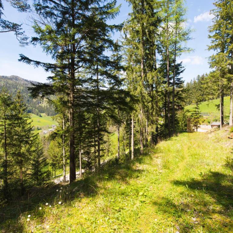 Haus Wildblick - Ferienhaus - 37