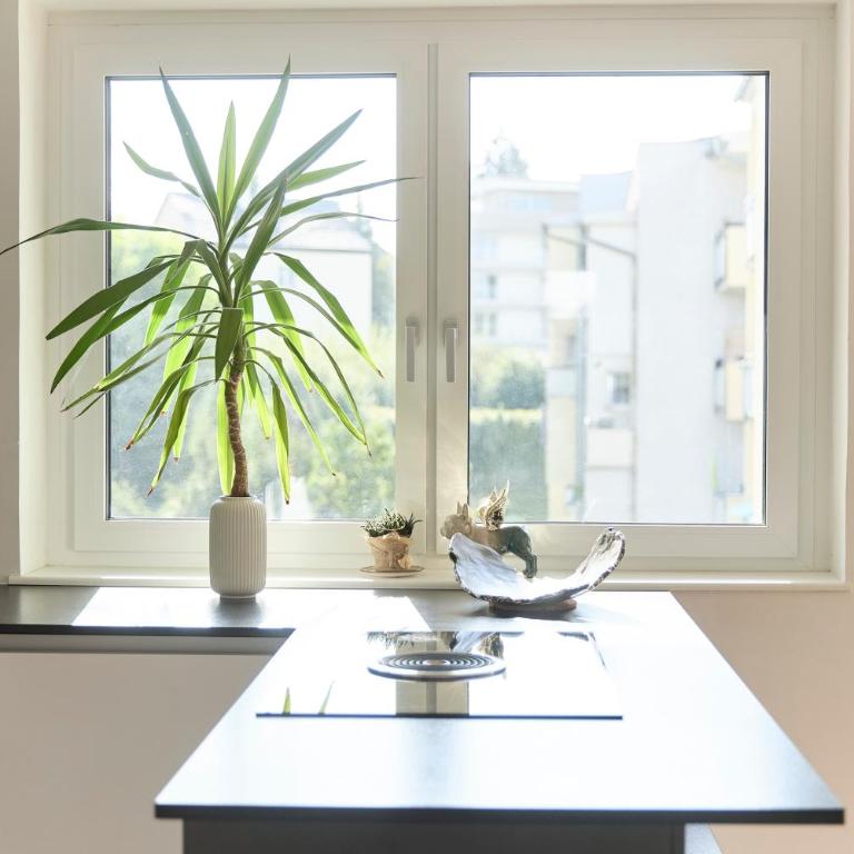 Helle Wohnung in Top Lage! - Apartment mit 1 Schlafzimmer - 13