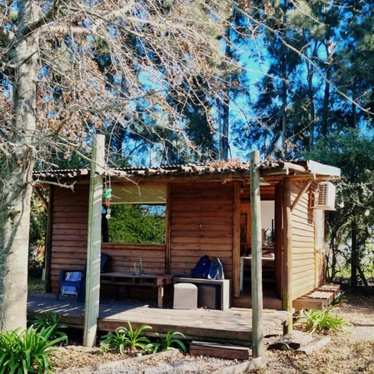 Tribu Hogar - Apartamento de 1 dormitorio - 1