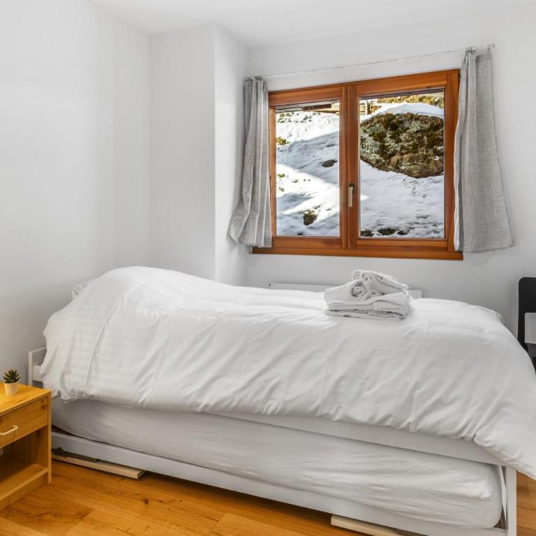 Appartement ski aux pieds - domaine des 4 Vallées - Apartment mit 2 Schlafzimmern - 4
