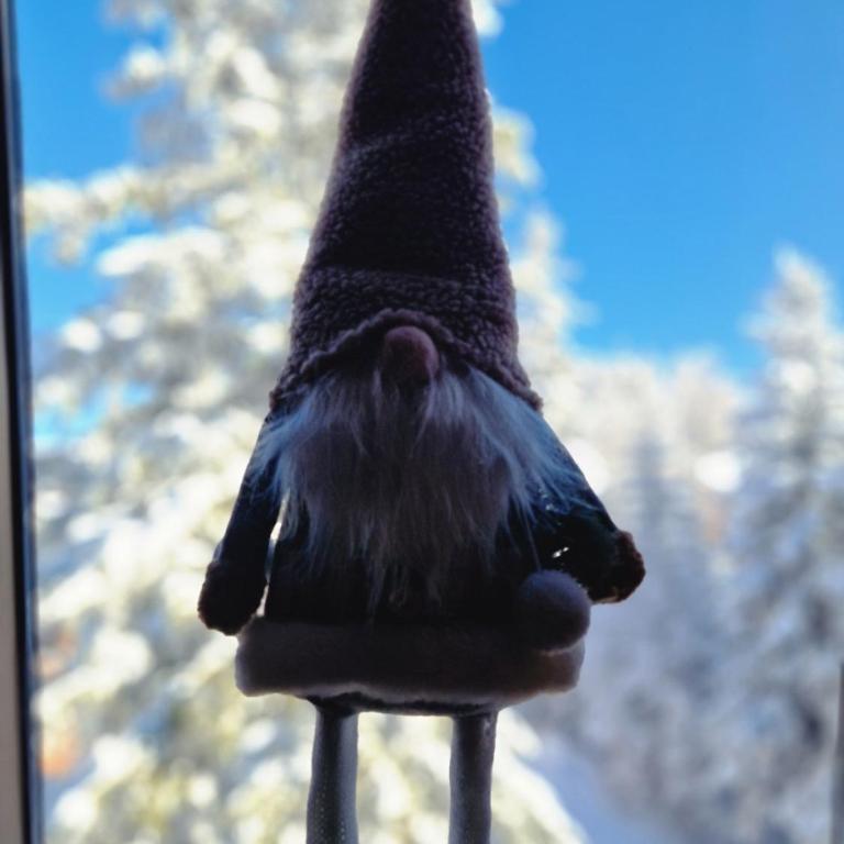 Nana 005 - Apartman sa 1 Spavaćom Sobom - 18