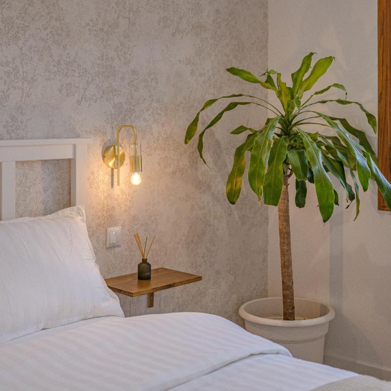 Balcon de Chayofita - Apartamento de 3 dormitorios - 35
