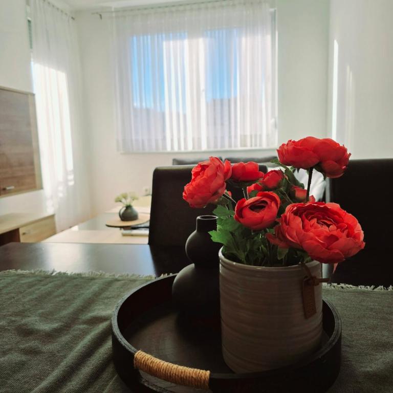 Mepas Galaxy - Two-Bedroom Apartment - 3