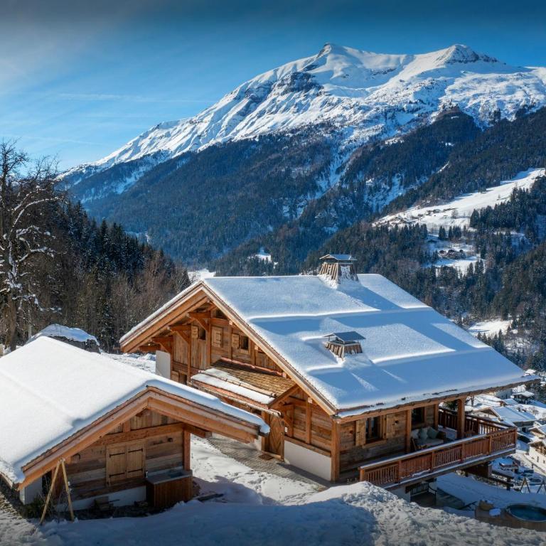 Chalet Beau Caillou - OVO Network - Chalet - 1