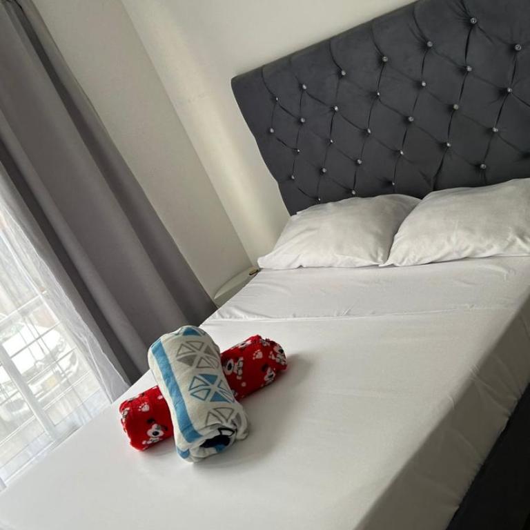 Loft Caney Apto 301 - Apartamento de 1 dormitorio - 2