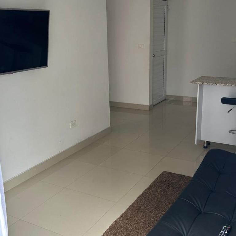 Loft Caney Apto 301 - Apartamento de 1 dormitorio - 3