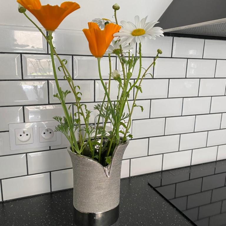residence fleurie rdc - One-Bedroom Apartment - 21