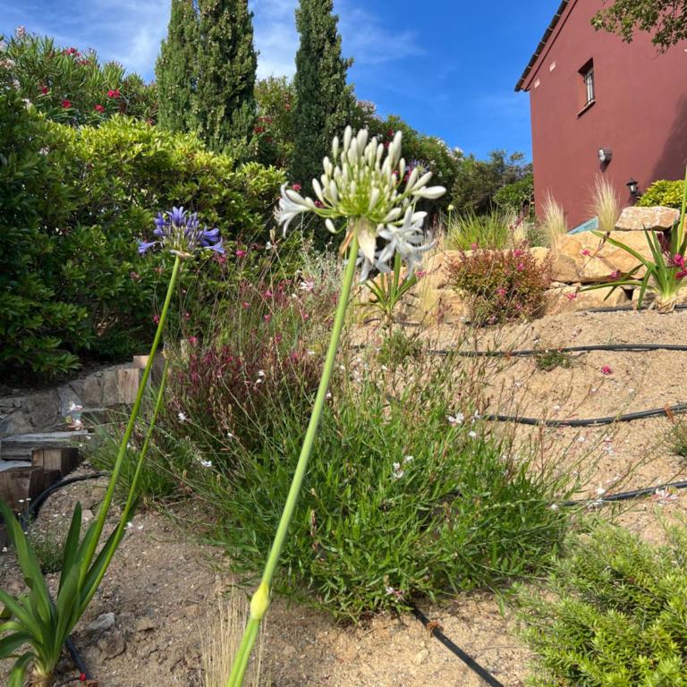 Villa Marcelle - Appartement 2 Chambres avec Terrasse et Vue sur la Mer - 12