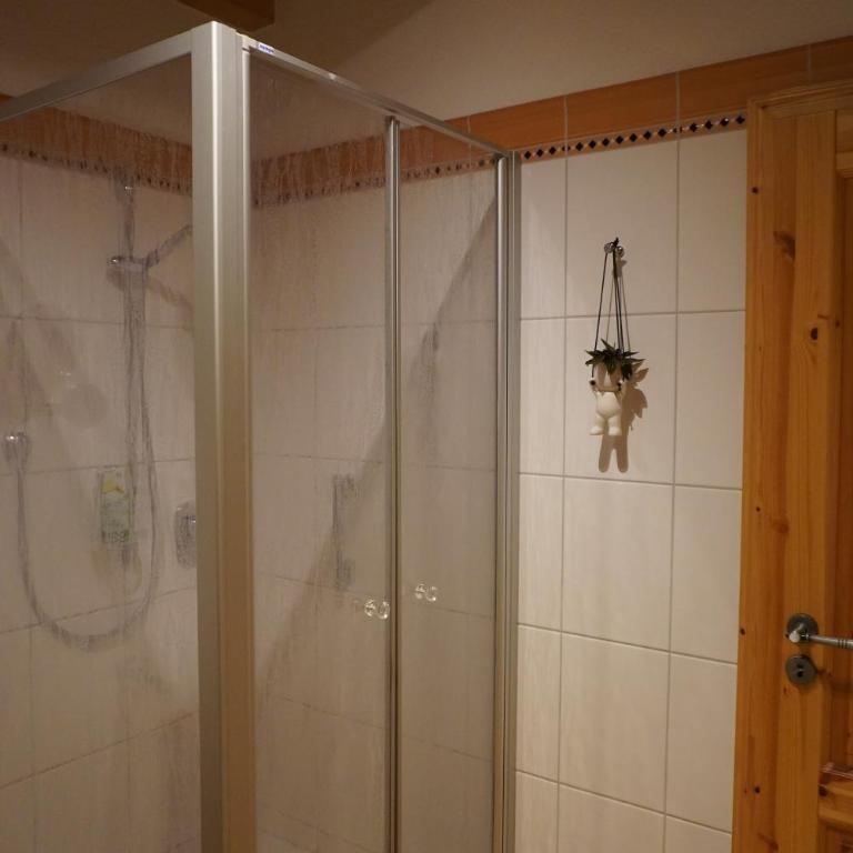 FeWo BergZeit auf 1000 m Höhe mit Balkon, Parkplatz, WLAN, Küche - Apartment mit 1 Schlafzimmer - 27