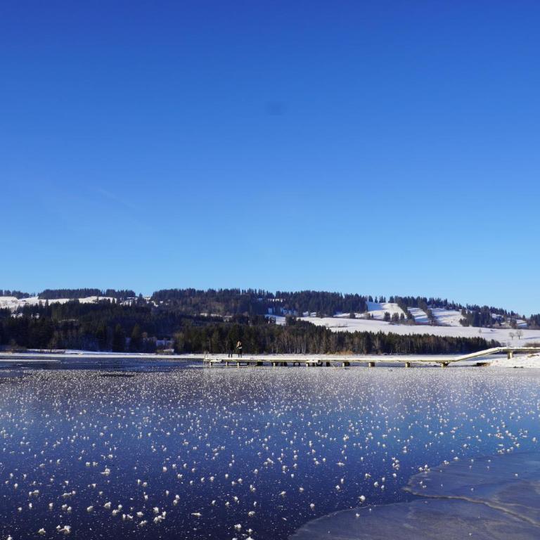 FeWo BergZeit auf 1000 m Höhe mit Balkon, Parkplatz, WLAN, Küche - Apartment mit 1 Schlafzimmer - 35