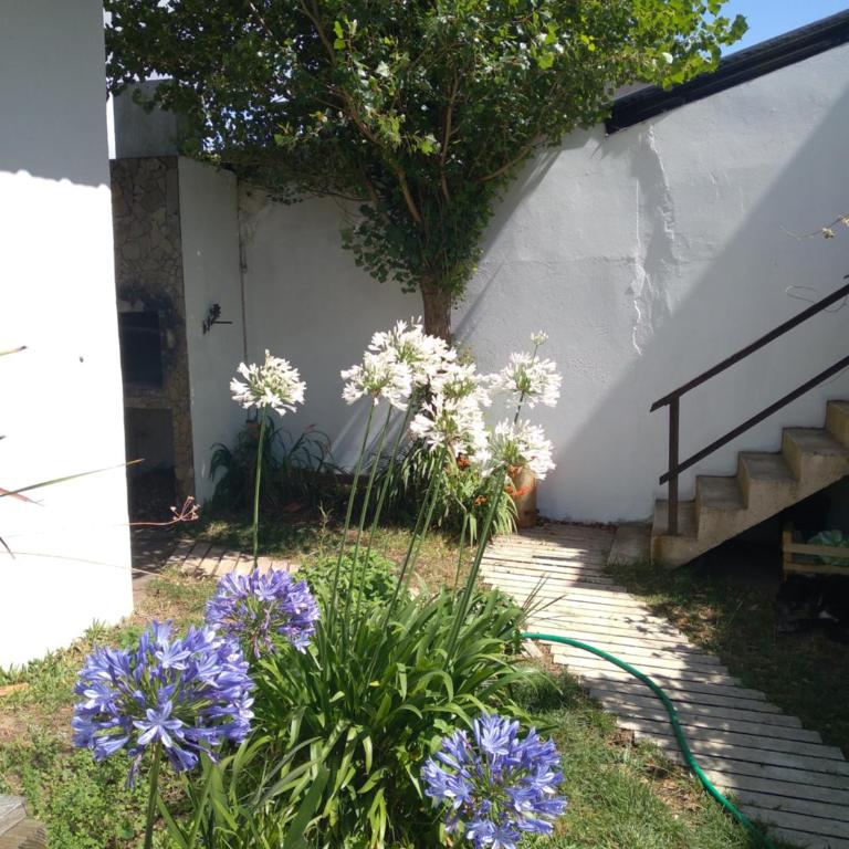 La Dorada - Casa con 1 dormitorio - 3
