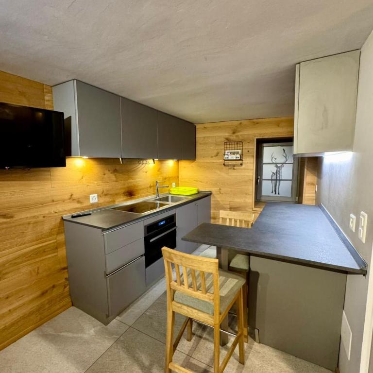 Kirchplatz Apartment Lupus & Cervus - Studio-Apartment - 8