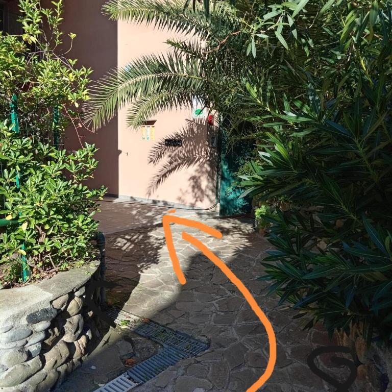 La Conchiglia di Monterosso - Casa con 1 Camera da Letto - 32