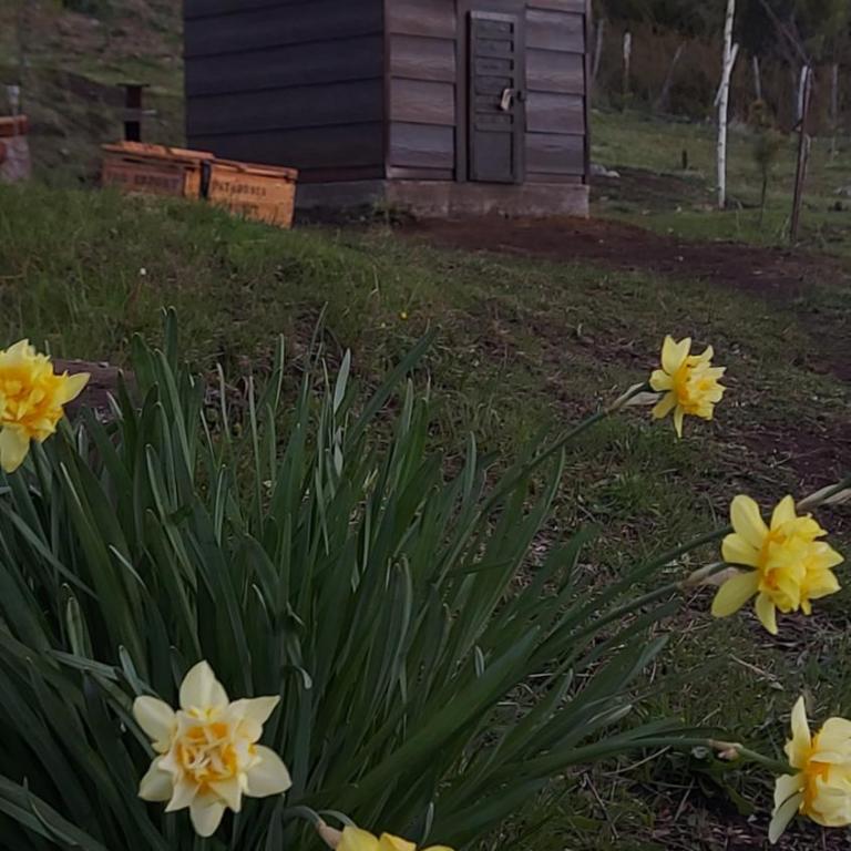 Lares de Yaima Cholila Chubut - One-Bedroom Chalet - 56