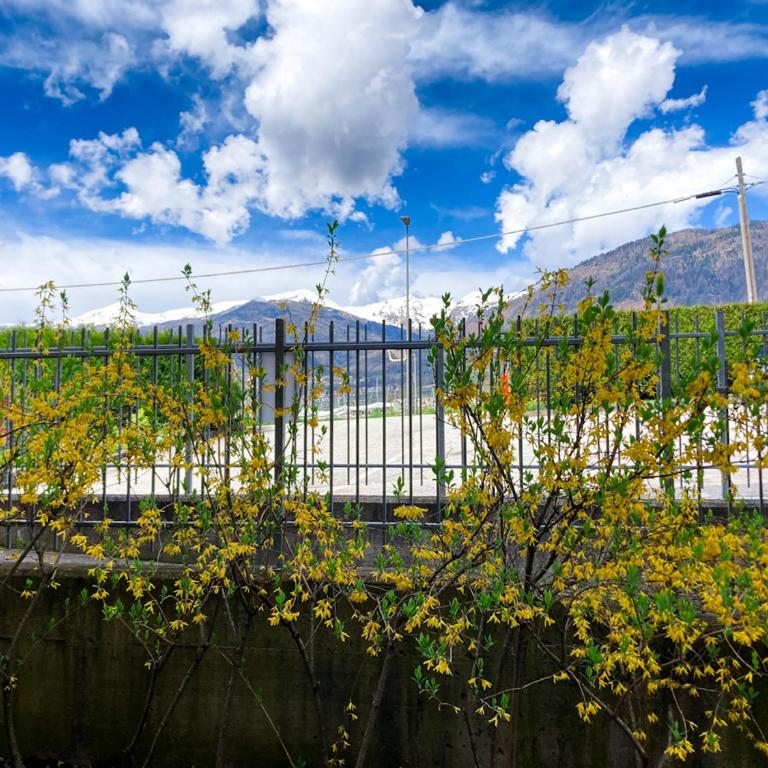Elegante 1 Br, Bellavista in Valsugana, Trentino - Appartamento con 1 Camera da Letto - 21