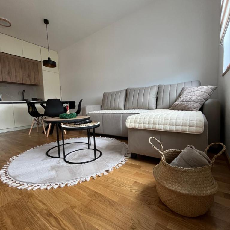 Apartman Vidik Zlatibor - Apartman sa 1 Spavaćom Sobom - 11
