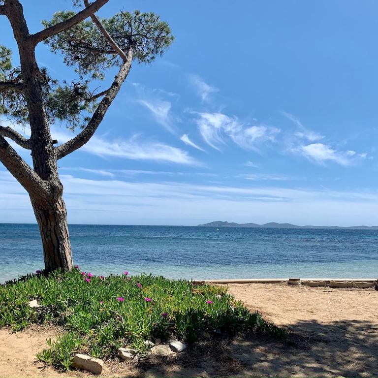 L Eden Croisette nid douillet en bord de plage - Appartement 2 Chambres - 3
