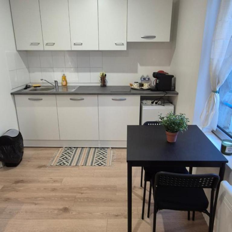 STUDIO NEUF HYPER CENTRE PROCHE PLACE STANISLAS ET GARE 17m2 - Appartement 1 Chambre - 3