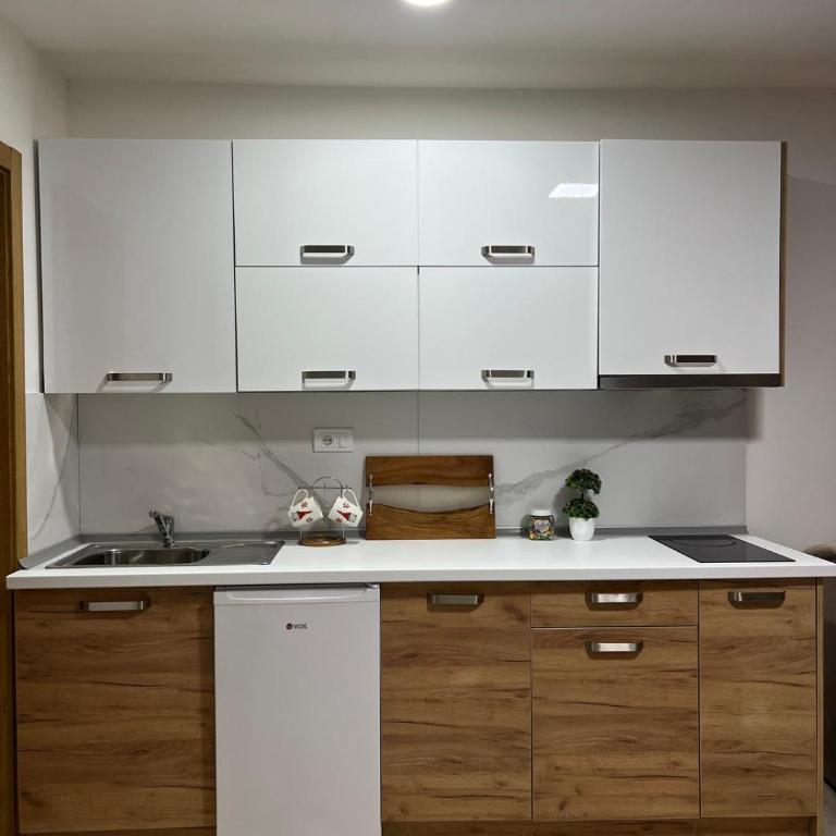 Apartman Vučko - Apartman sa 1 Spavaćom Sobom - 9