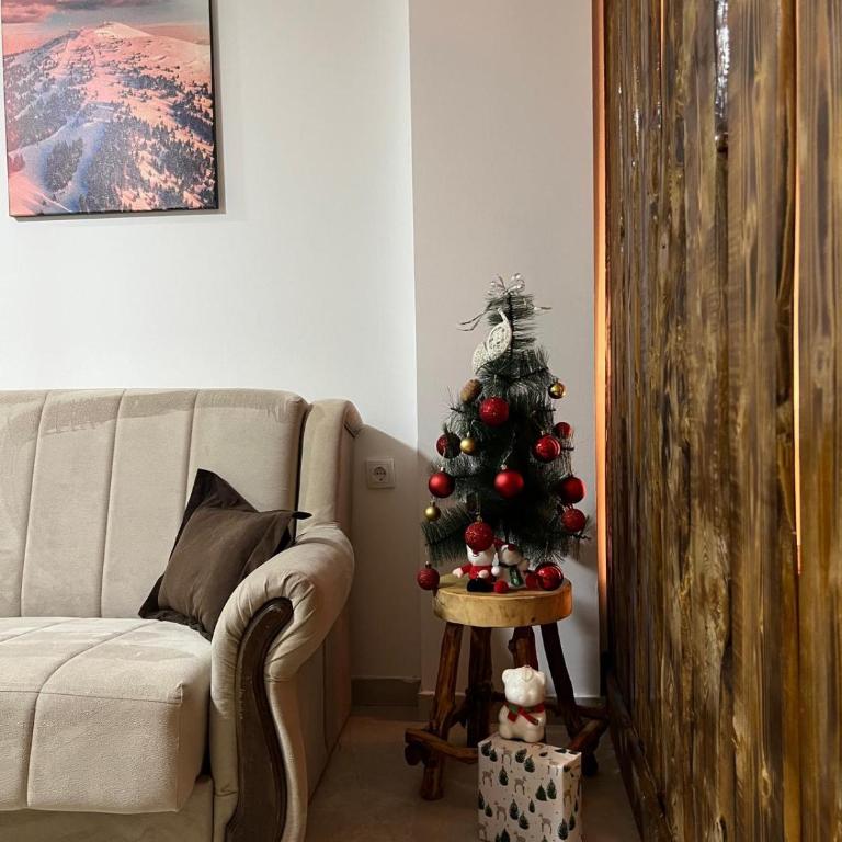Apartman Vučko - Apartman sa 1 Spavaćom Sobom - 12