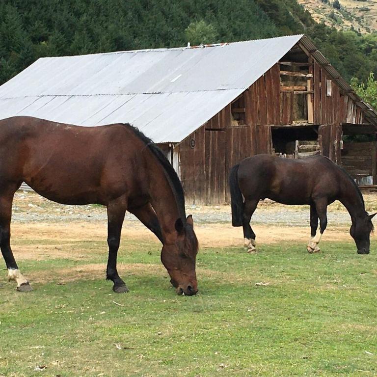 Refugio de la Patagonia - Three-Bedroom House - 24