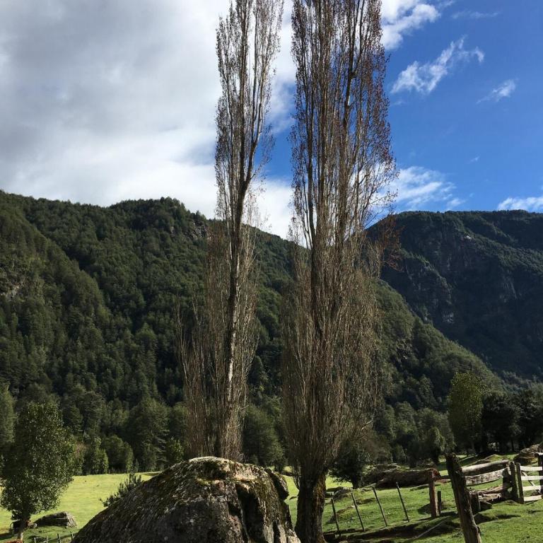 Refugio de la Patagonia - Three-Bedroom House - 45