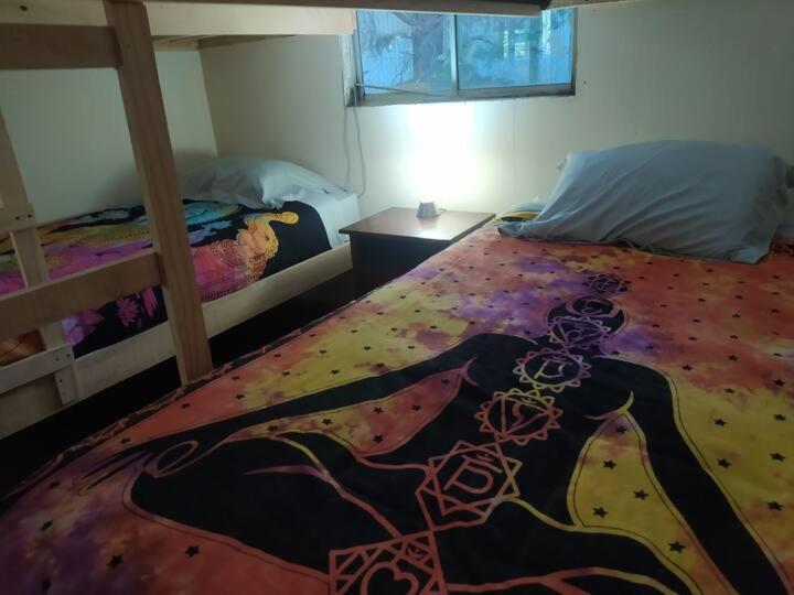 Hostal Nahuel Ray - Habitación Compartida Mixta - 1