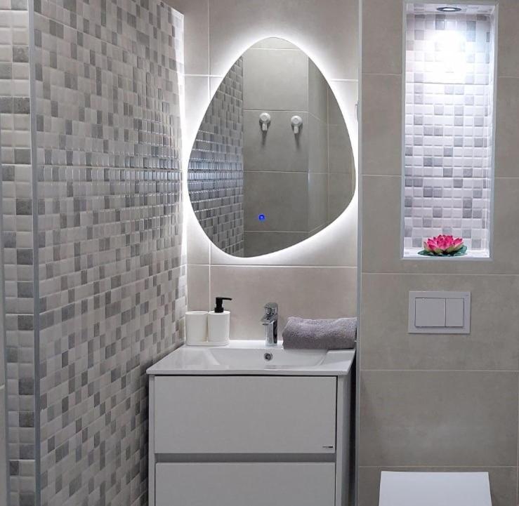 Stepa apartman - Apartman sa 1 Spavaćom Sobom - 17