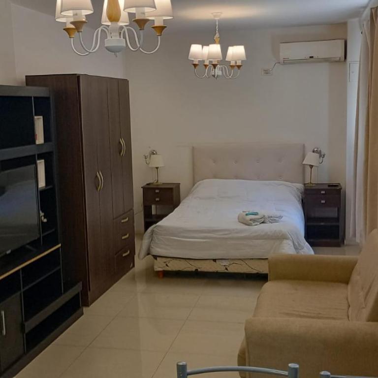 hermoso apartamento en palermo soho - Apartamento de 1 dormitorio - 2