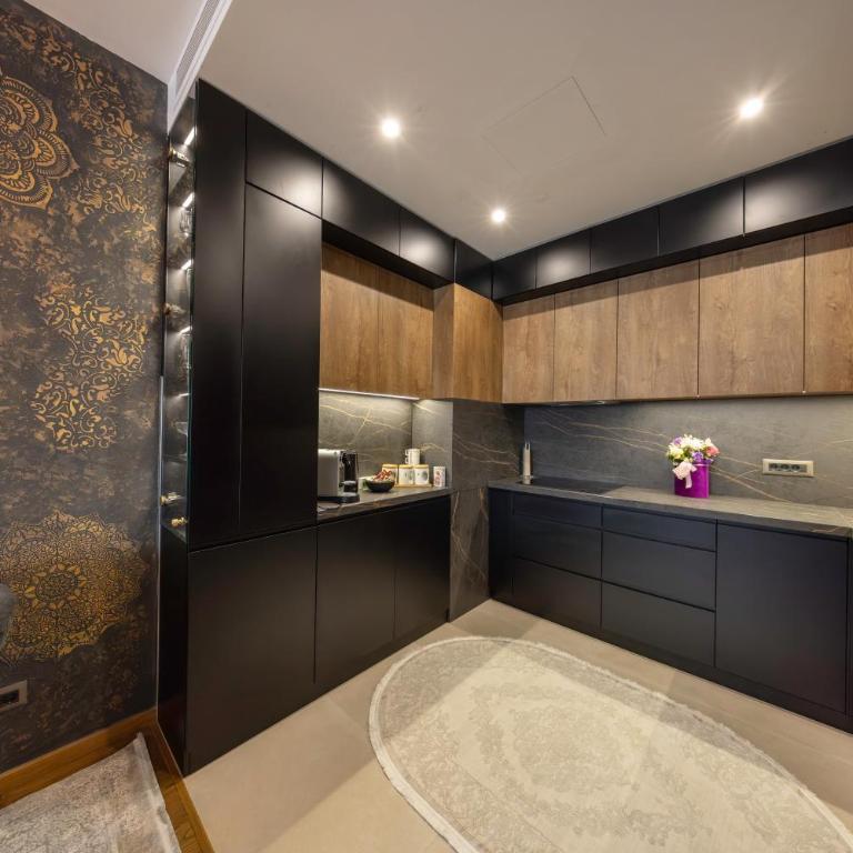 Casa Novi Dorcol Belgrade 2 - Apartman sa 1 Spavaćom Sobom - 5