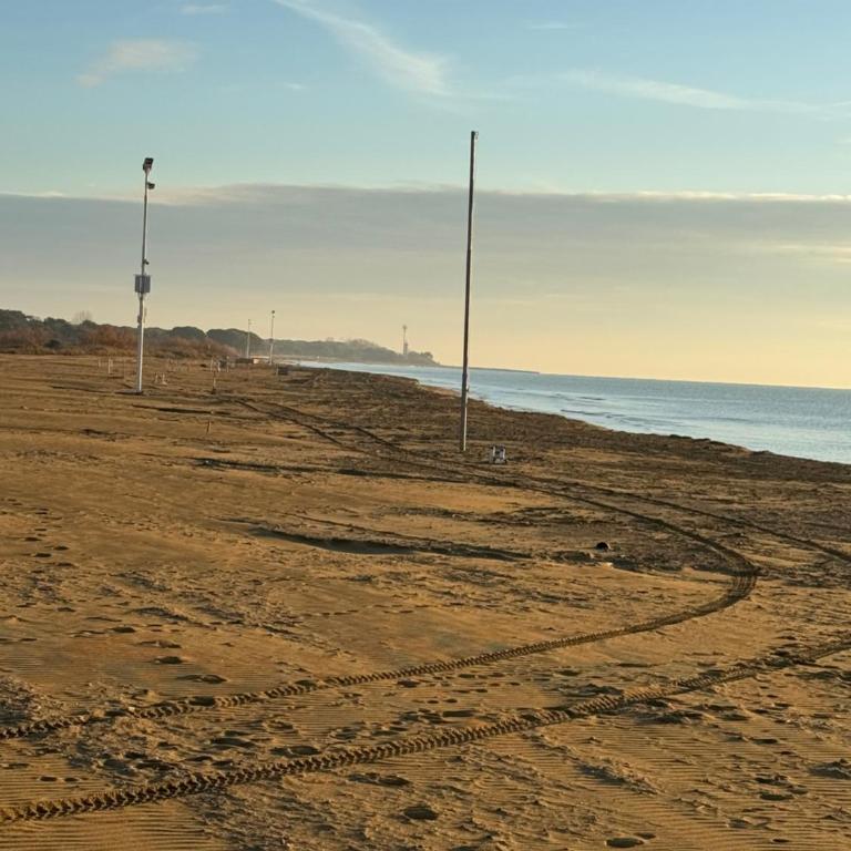 Bibione Landora Nummer 141 - Appartamento con 1 Camera da Letto - 47
